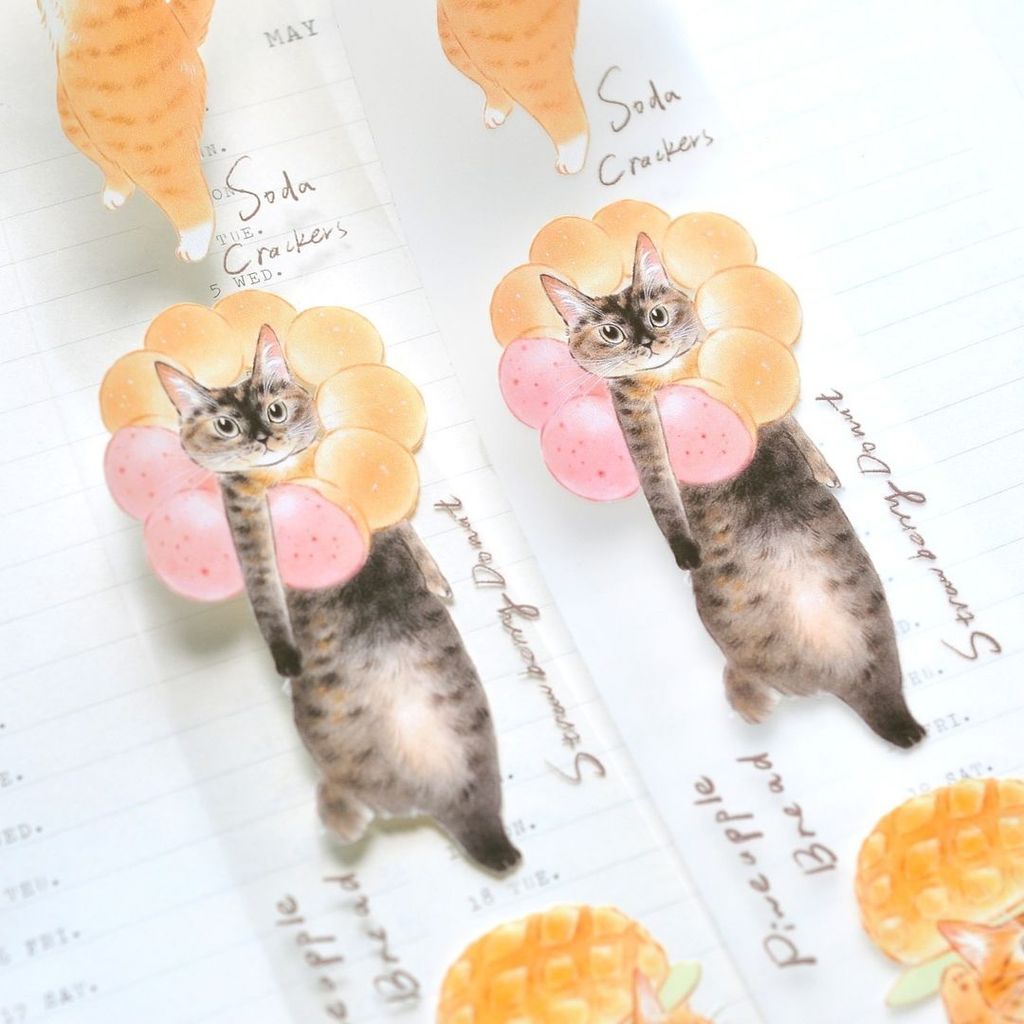 448826125_326219077089575_5894769561400451479_n