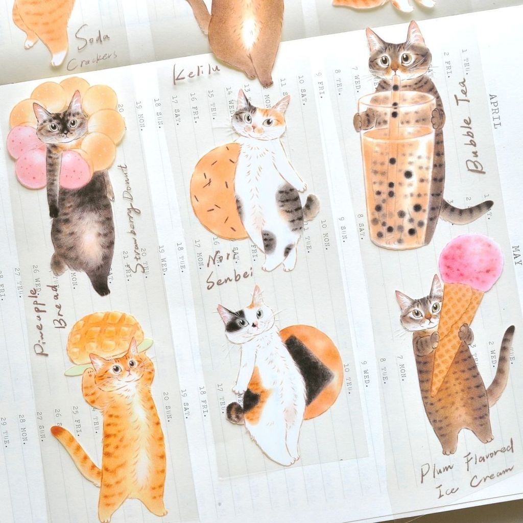 448795626_1018482866411771_6569305130848535967_n