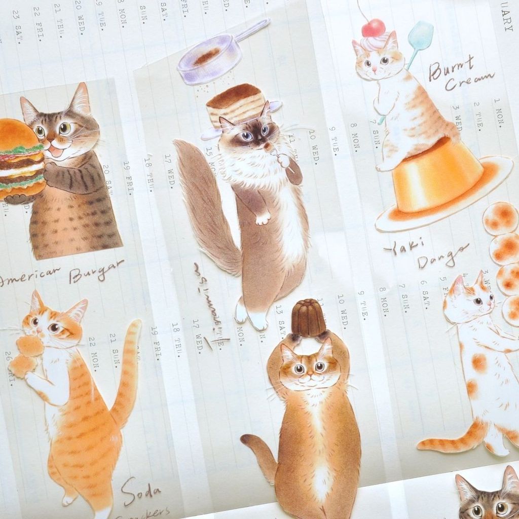 448571777_1243365696633386_172133515071669121_n