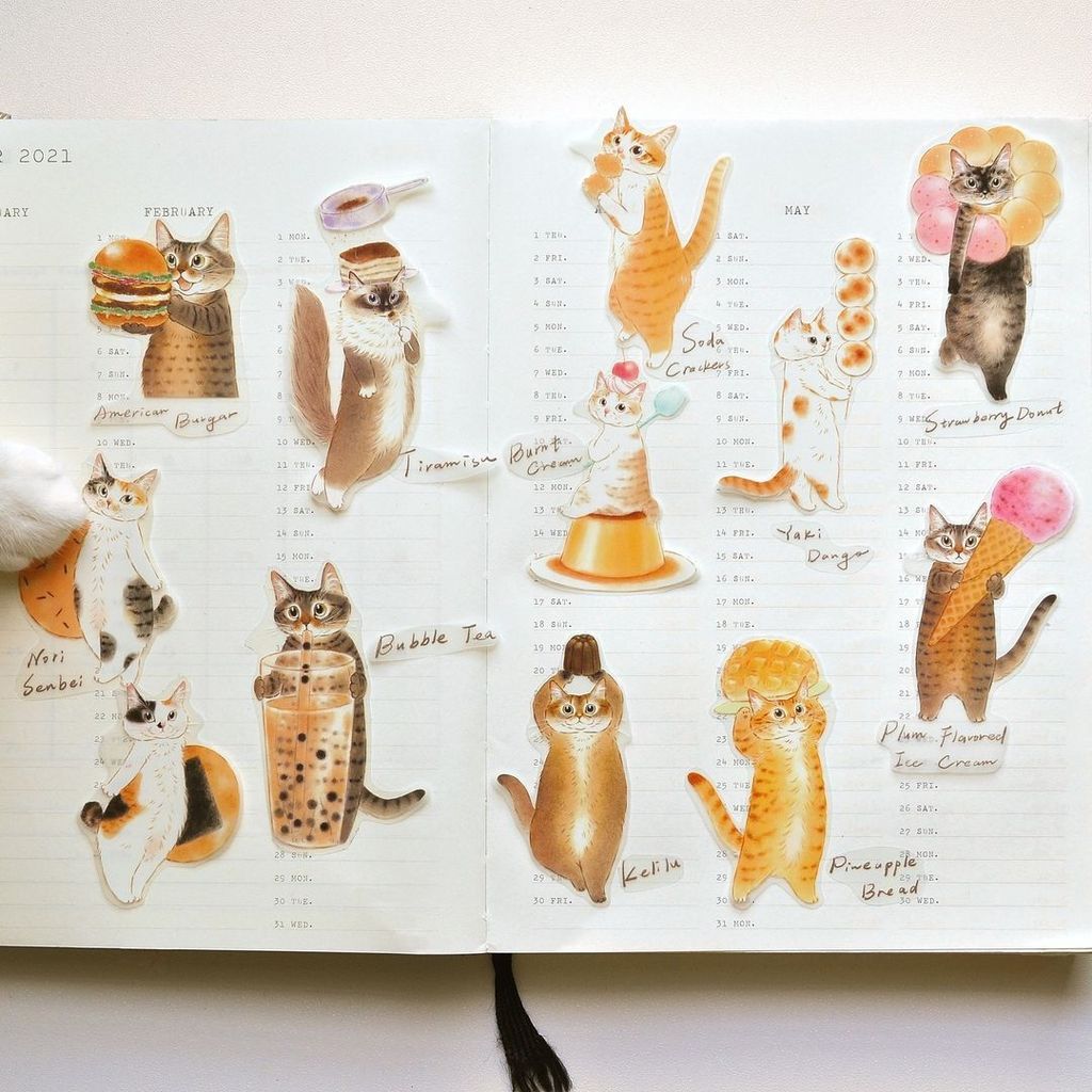 448801653_409044038762166_566839358229967495_n