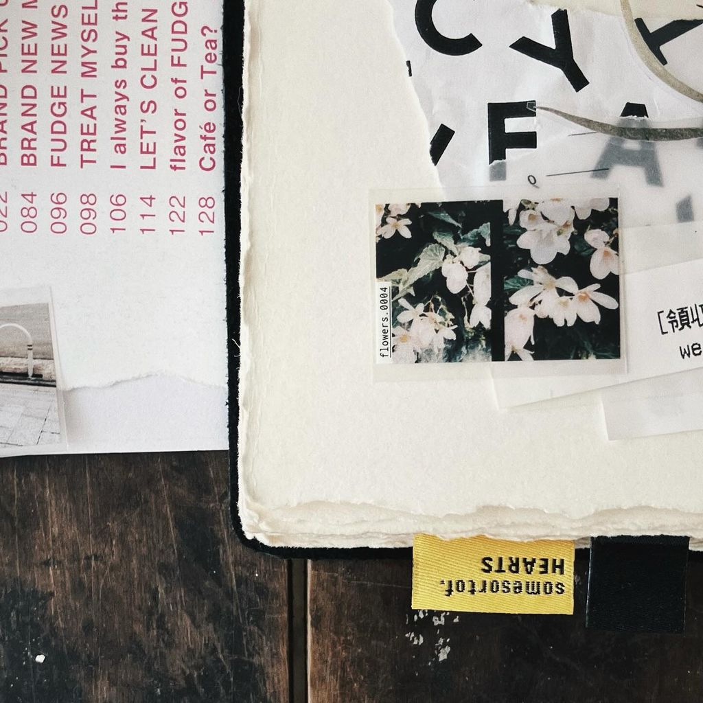 羊君 pet 霧面 膠帶 印刷 手帳 拼貼 半日 底片 照片 3