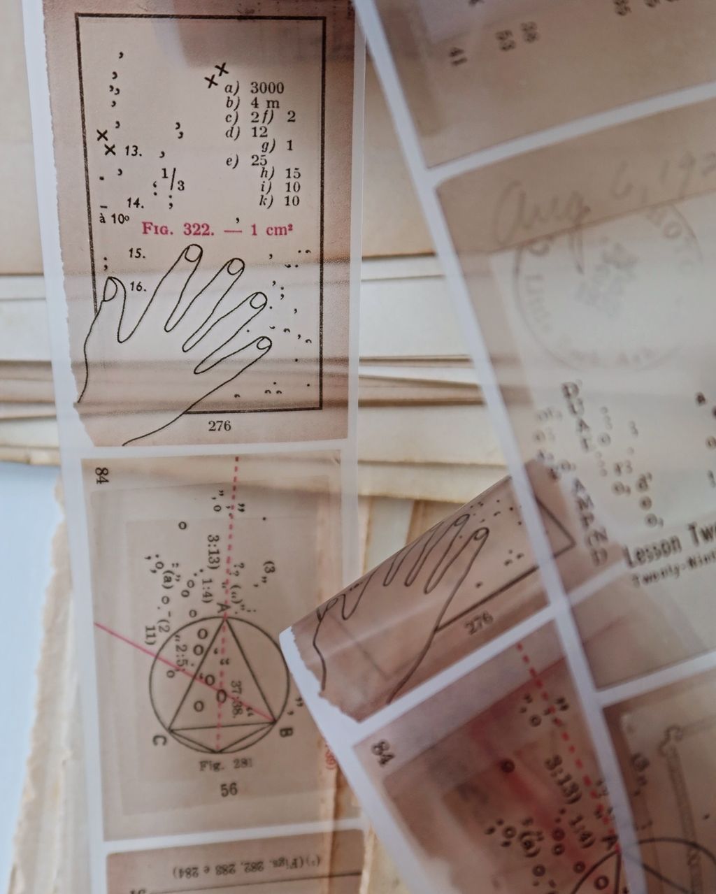 SaveClip.App_462312419_1988409724925448_3899656958739643158_n