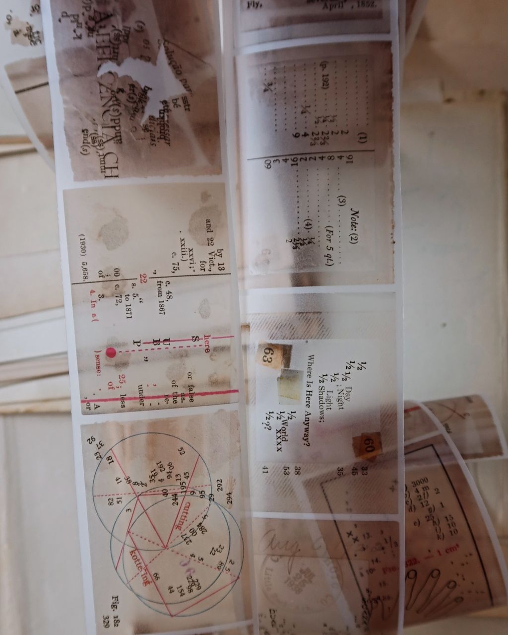 SaveClip.App_462248174_3874610936191783_4369996054716203450_n