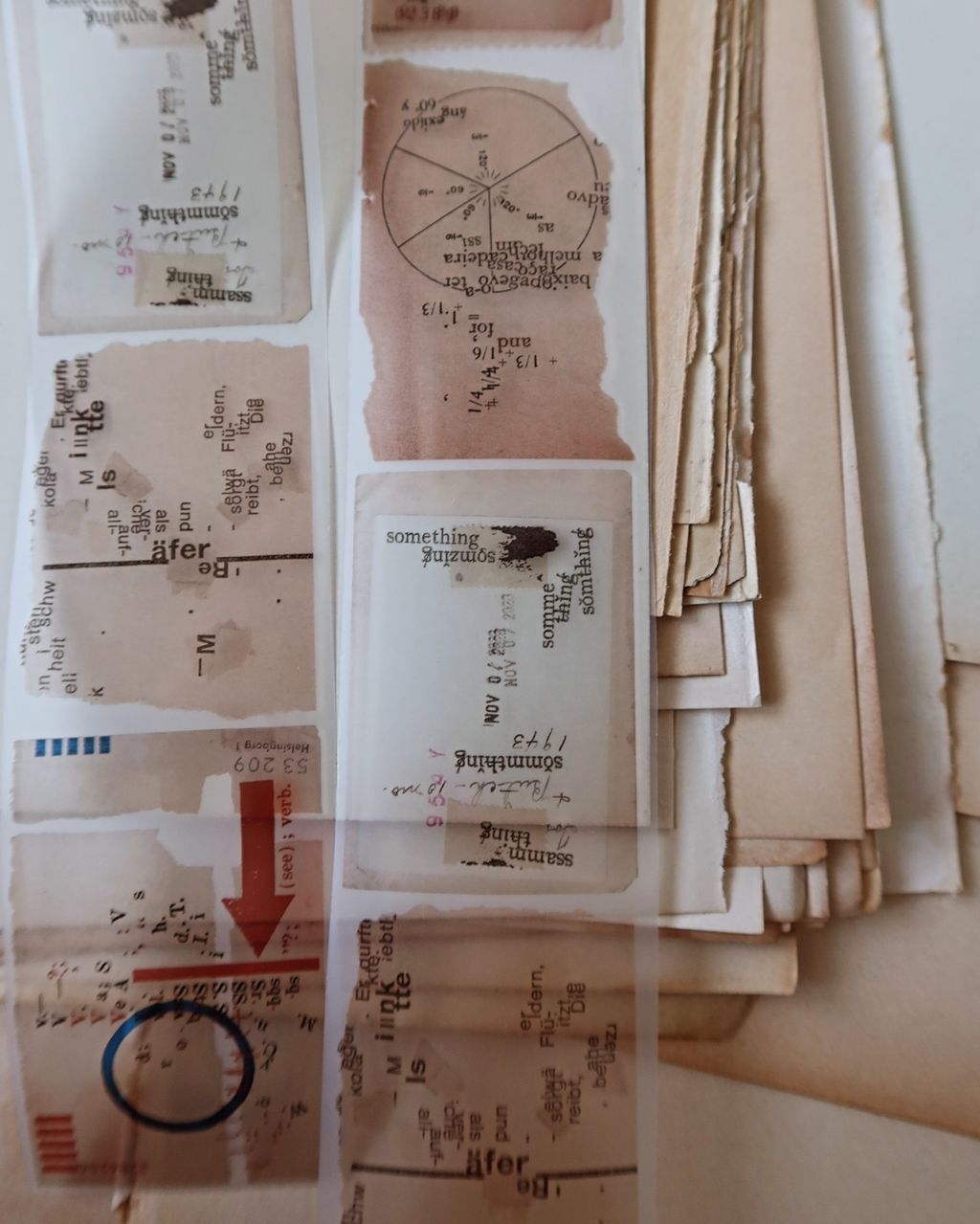 SaveClip.App_462454561_443830932042824_8215400282861027081_n