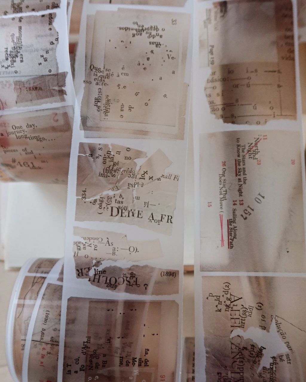 SaveClip.App_462328541_1544273539530750_4112439898756046972_n