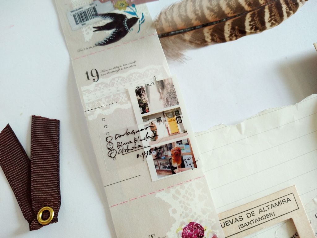 InShot_20241105_113954690