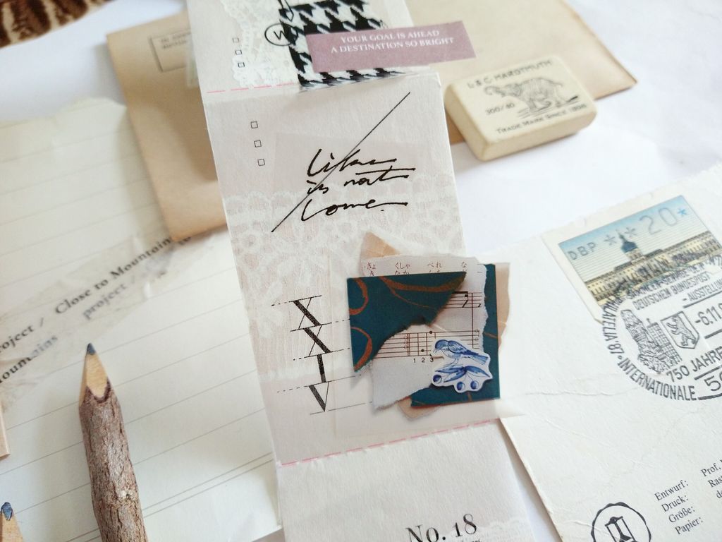 InShot_20241105_114434193