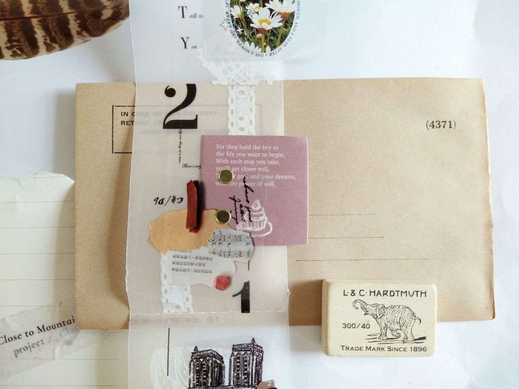 InShot_20241105_114650704