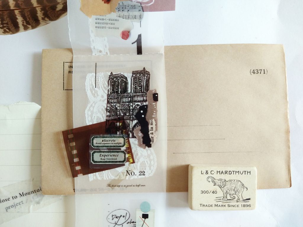 InShot_20241105_114720979