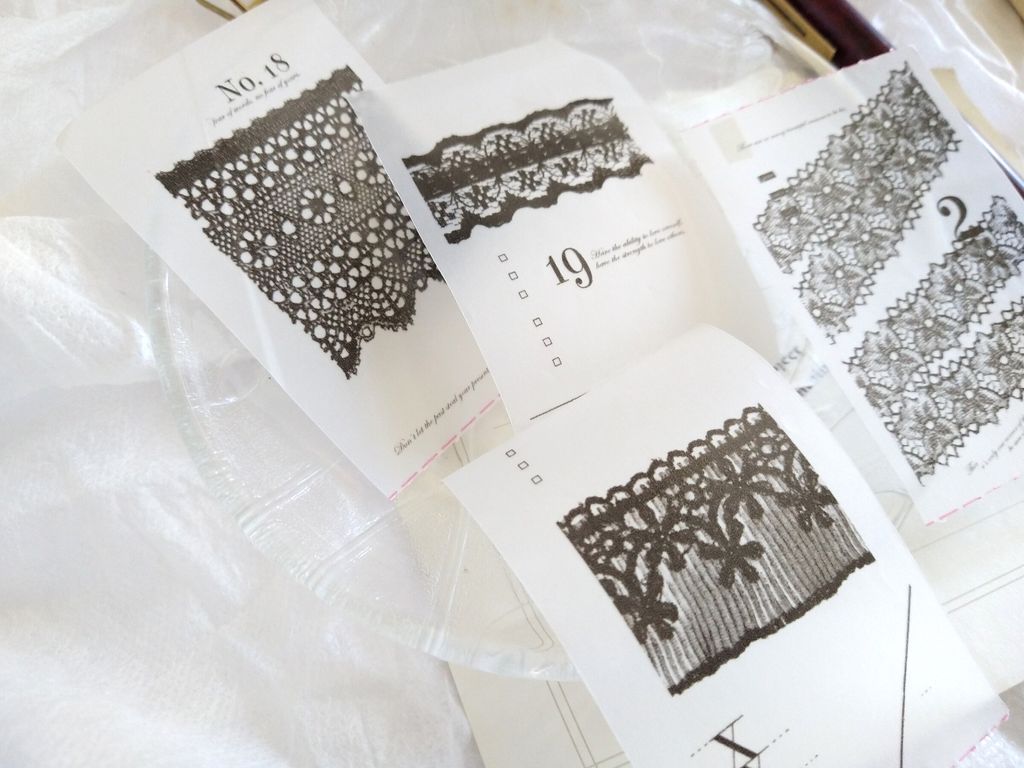 InShot_20240925_134920201