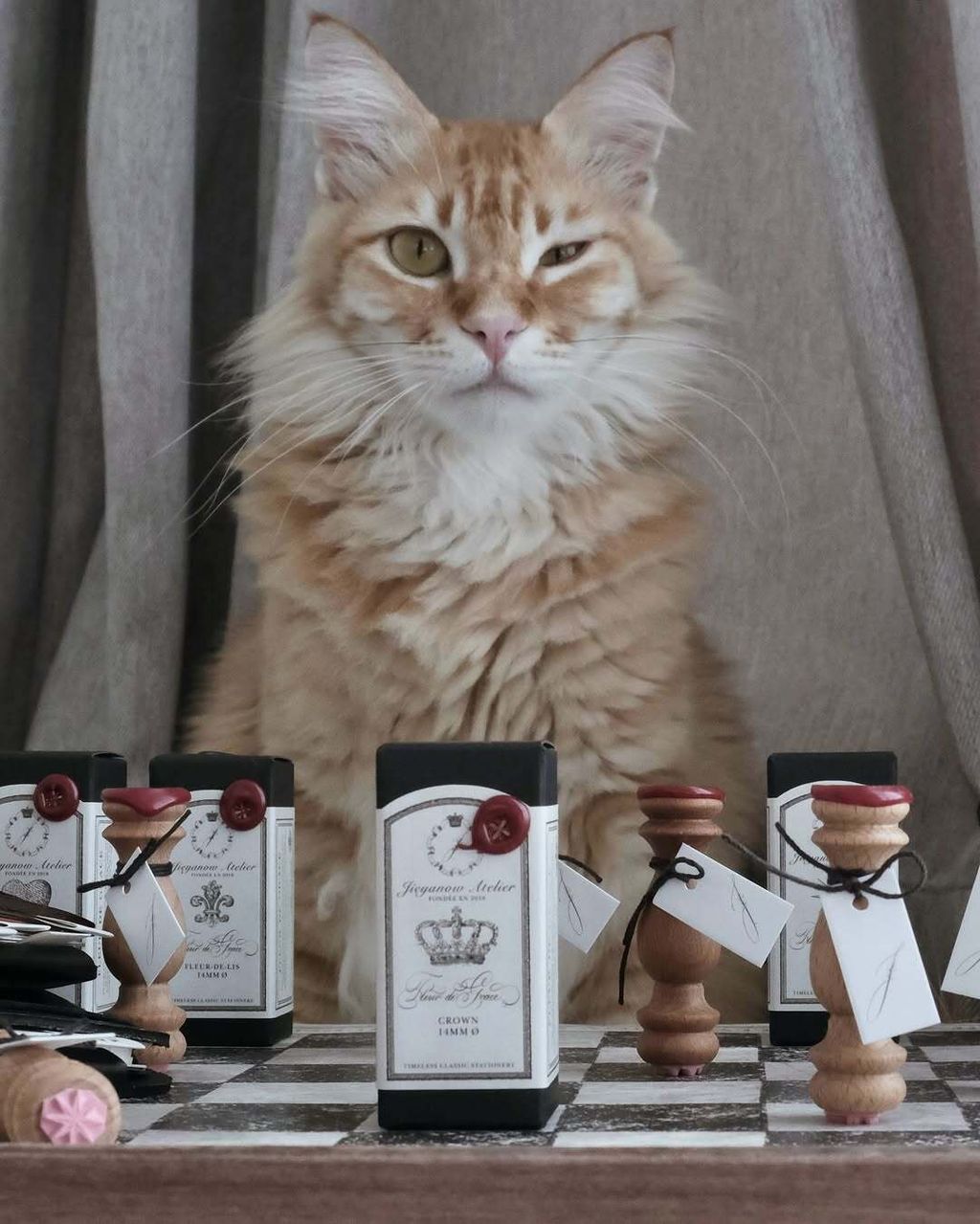 481759656_18262628533287882_3192294935605679981_n