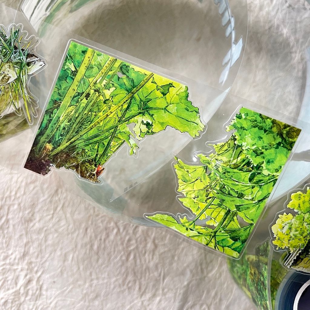 O1CN01tRAxvV1EfAkhUvwj7_!!1981310378