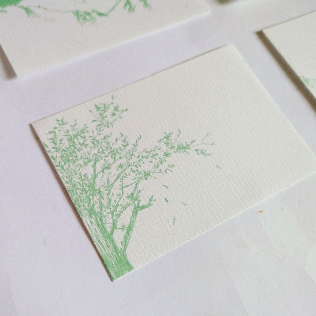 InShot_20250308_102203150