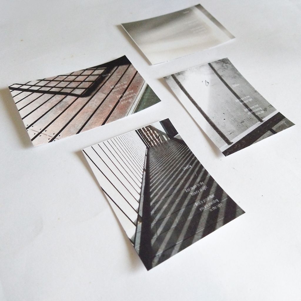 InShot_20250225_152434343