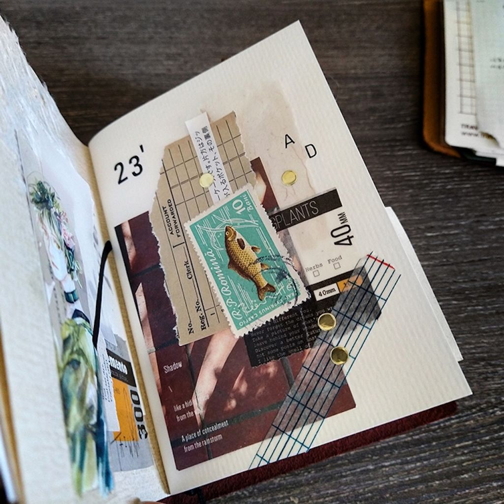 IMG_20230124_104958148_HDR