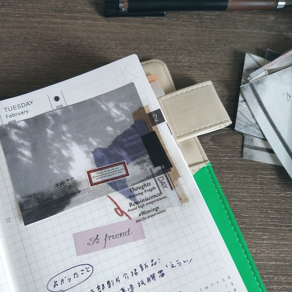 InShot_20250226_111937120