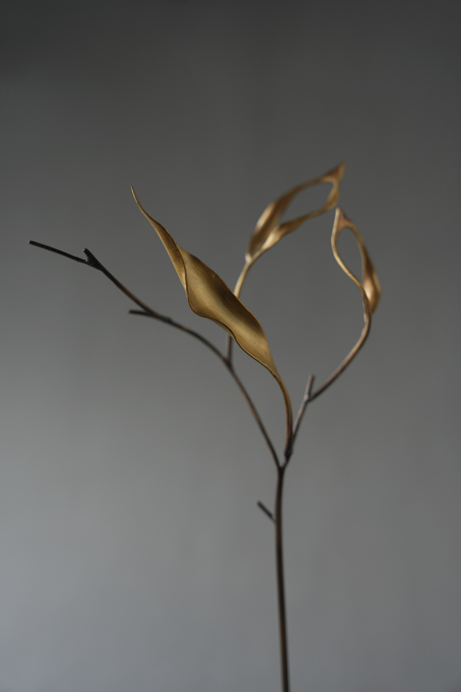 DSC03661-s