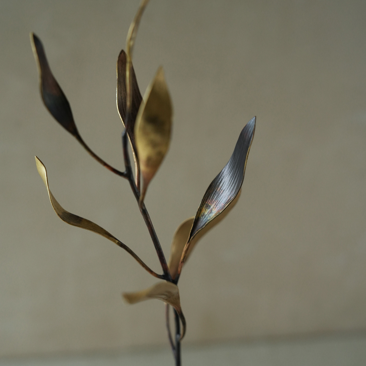 DSC05833-s