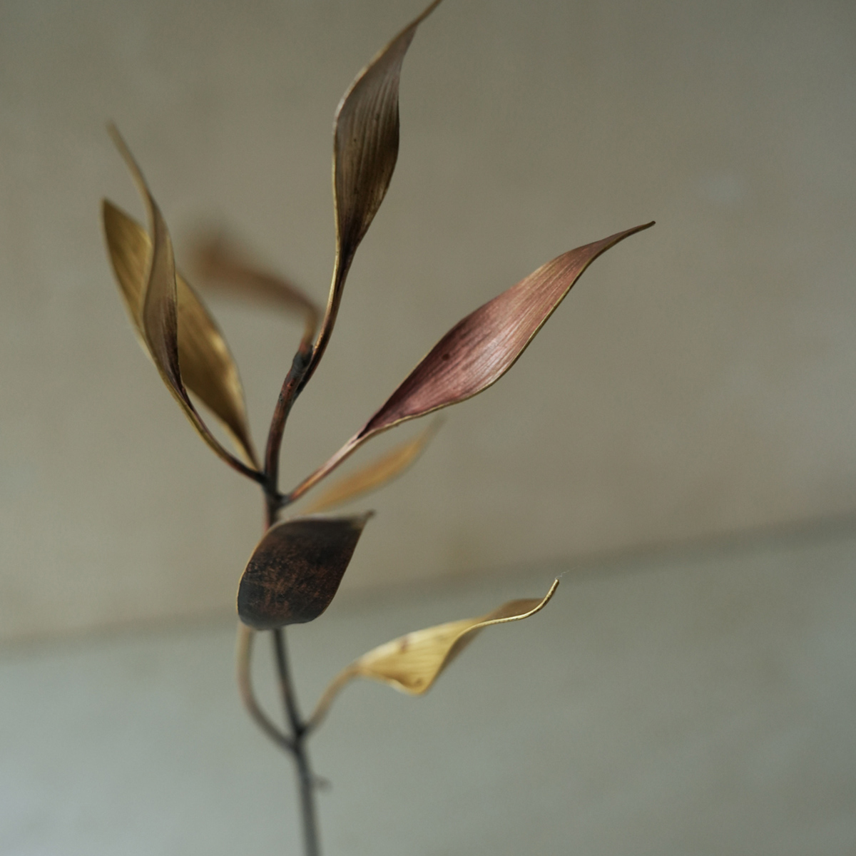 DSC05839-s