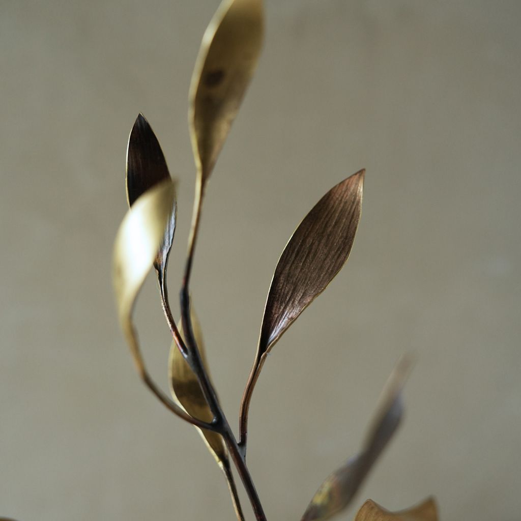 DSC05836-s