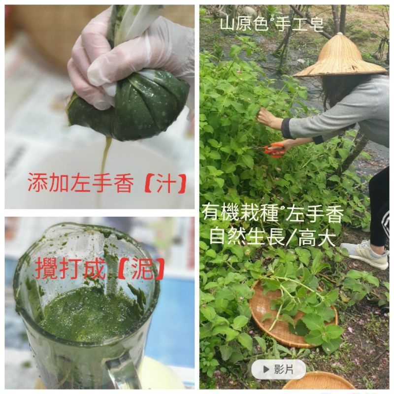 a46a2d9cae3878632044f474510a9ab6