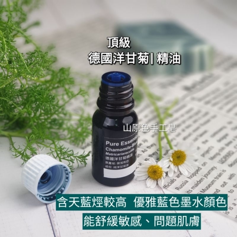 新-德國洋甘菊03