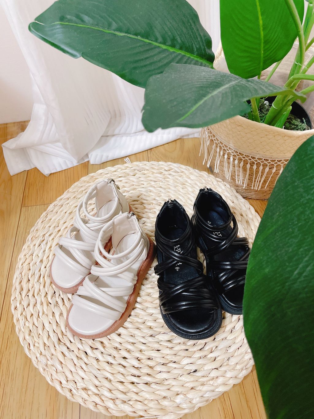 image_2EC6DBB1-8F77-4580-9268-FD5135B0196E_1776332412