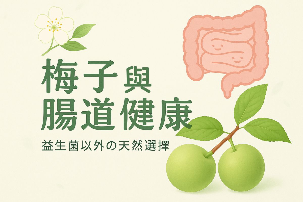 梅子與腸道健康:益生菌之外的天然選擇