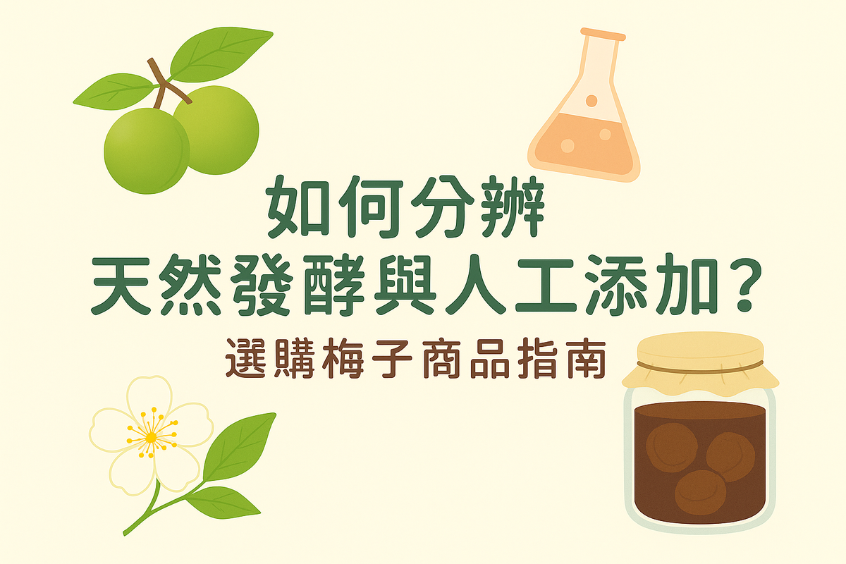 🔍 如何分辨天然發酵與人工添加?