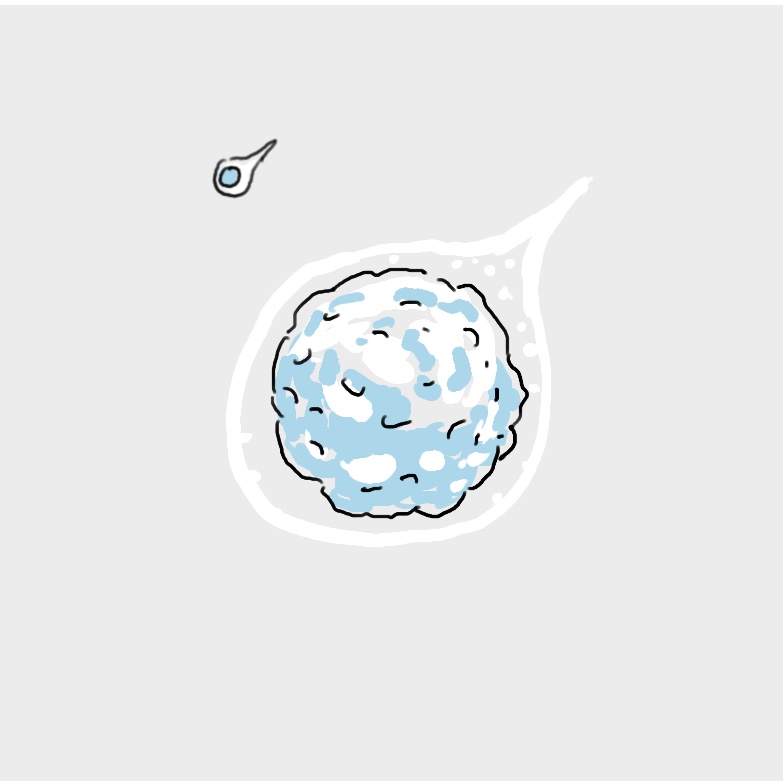  | 原初水晶SourceCrystal