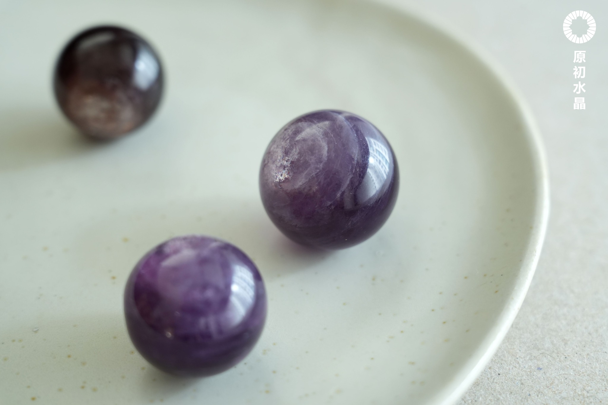 527251239_1199495258858973_1538713778997223854_n