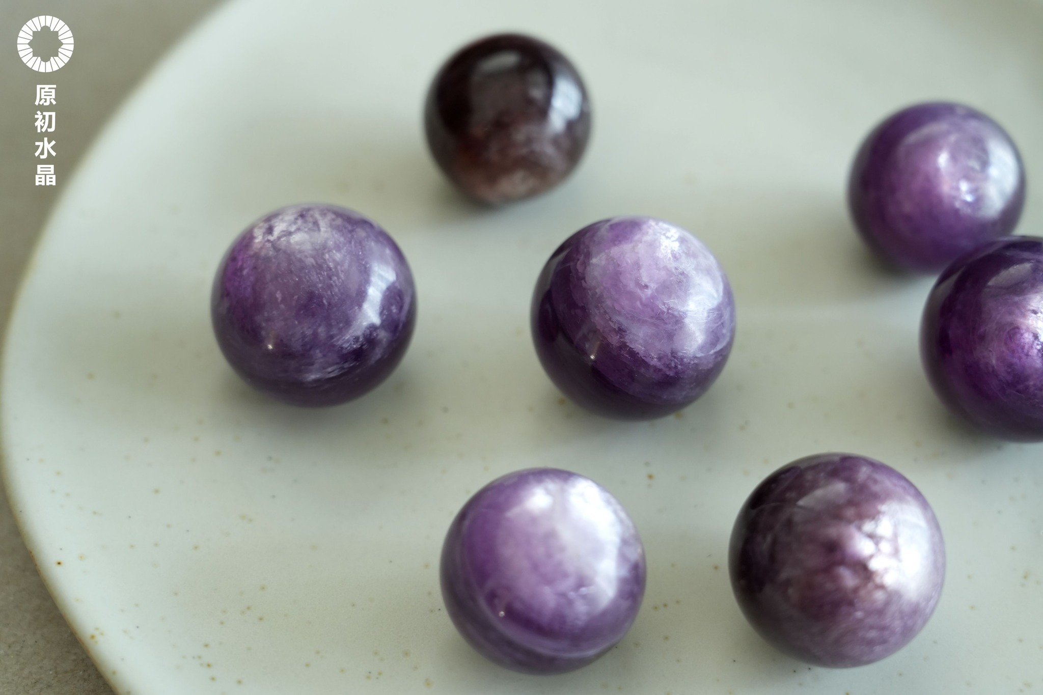 515490471_1199495145525651_4106046173484592626_n