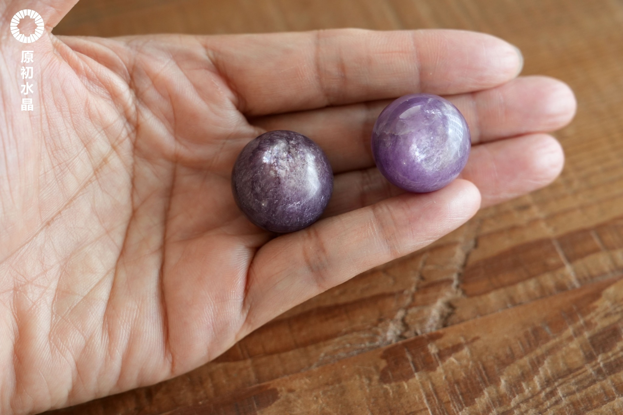 518343249_1199495278858971_416149108866802143_n