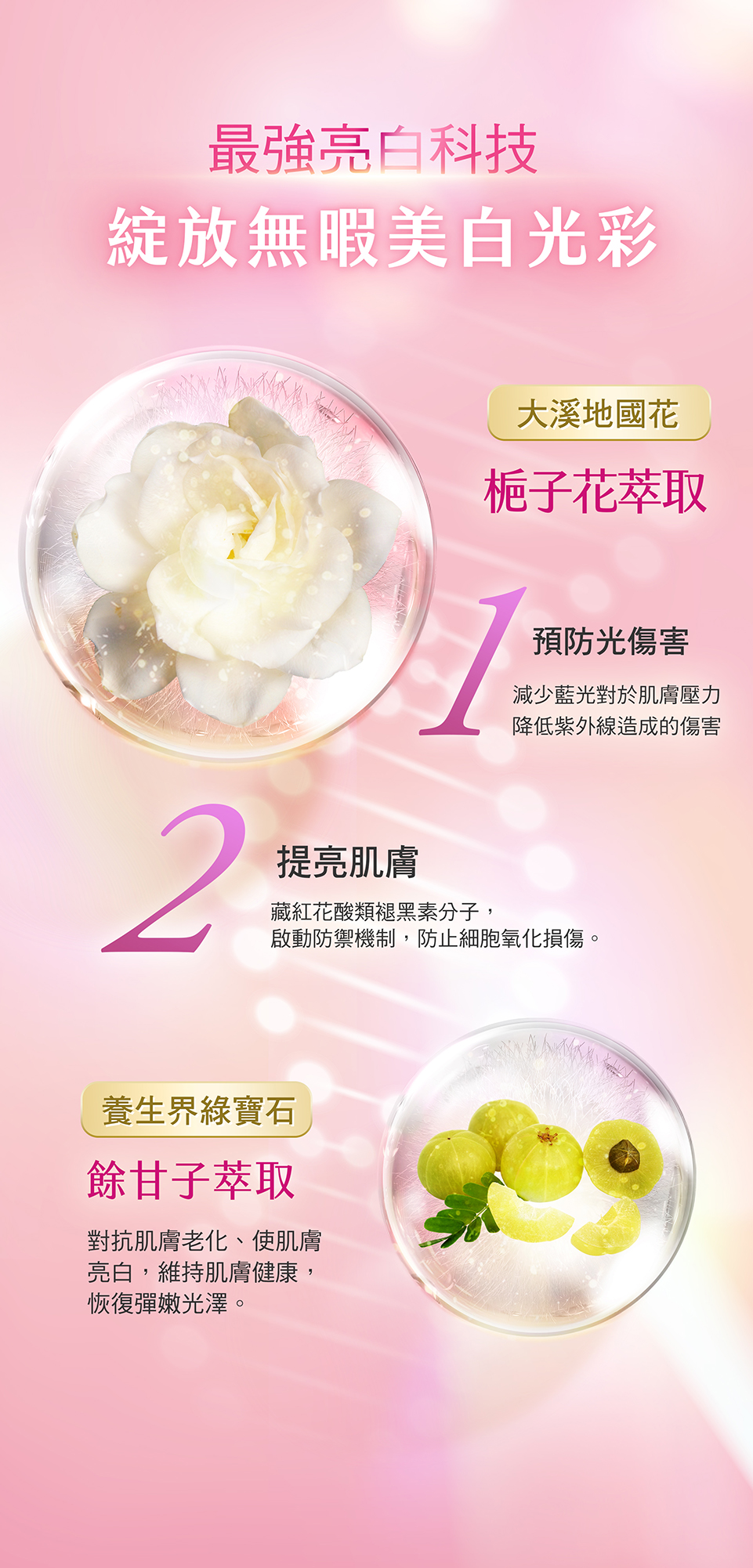 Intensive Radiance Brightening Elixir