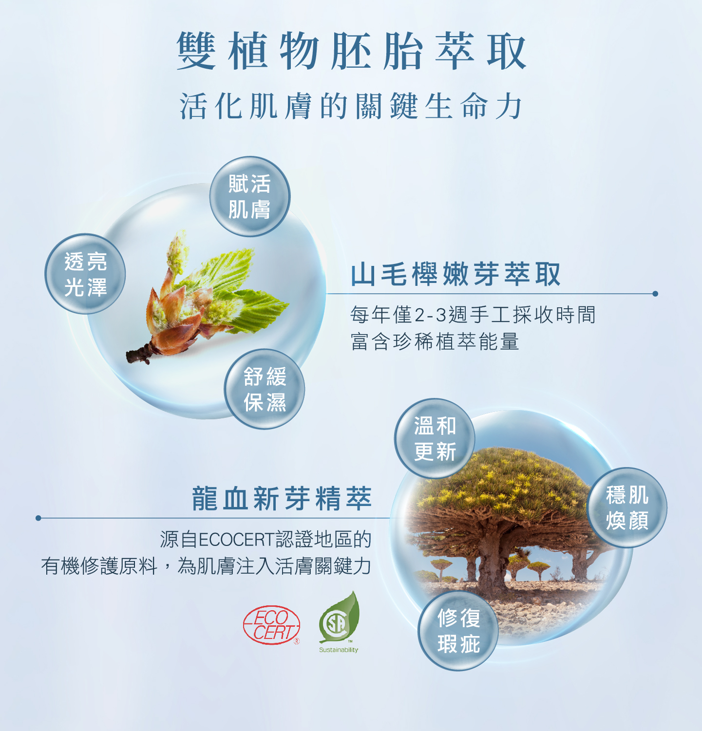 renewal treatment renewal serum