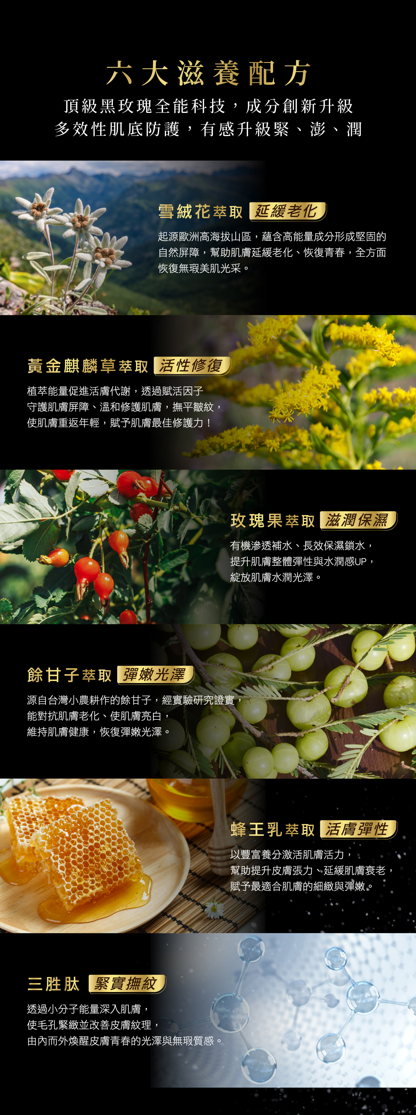 premier black rose hydra cream