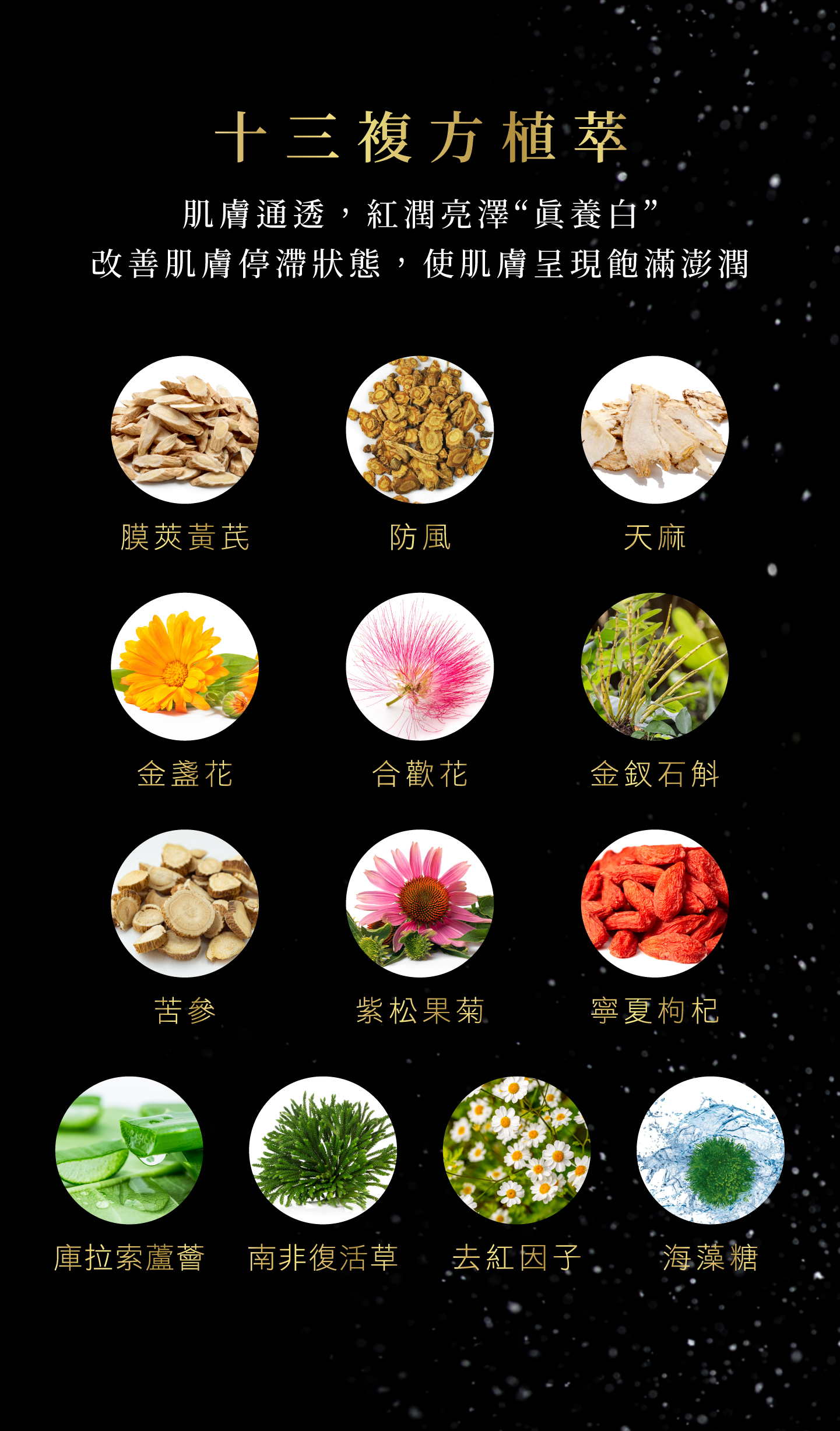 premier black rose hydra cream