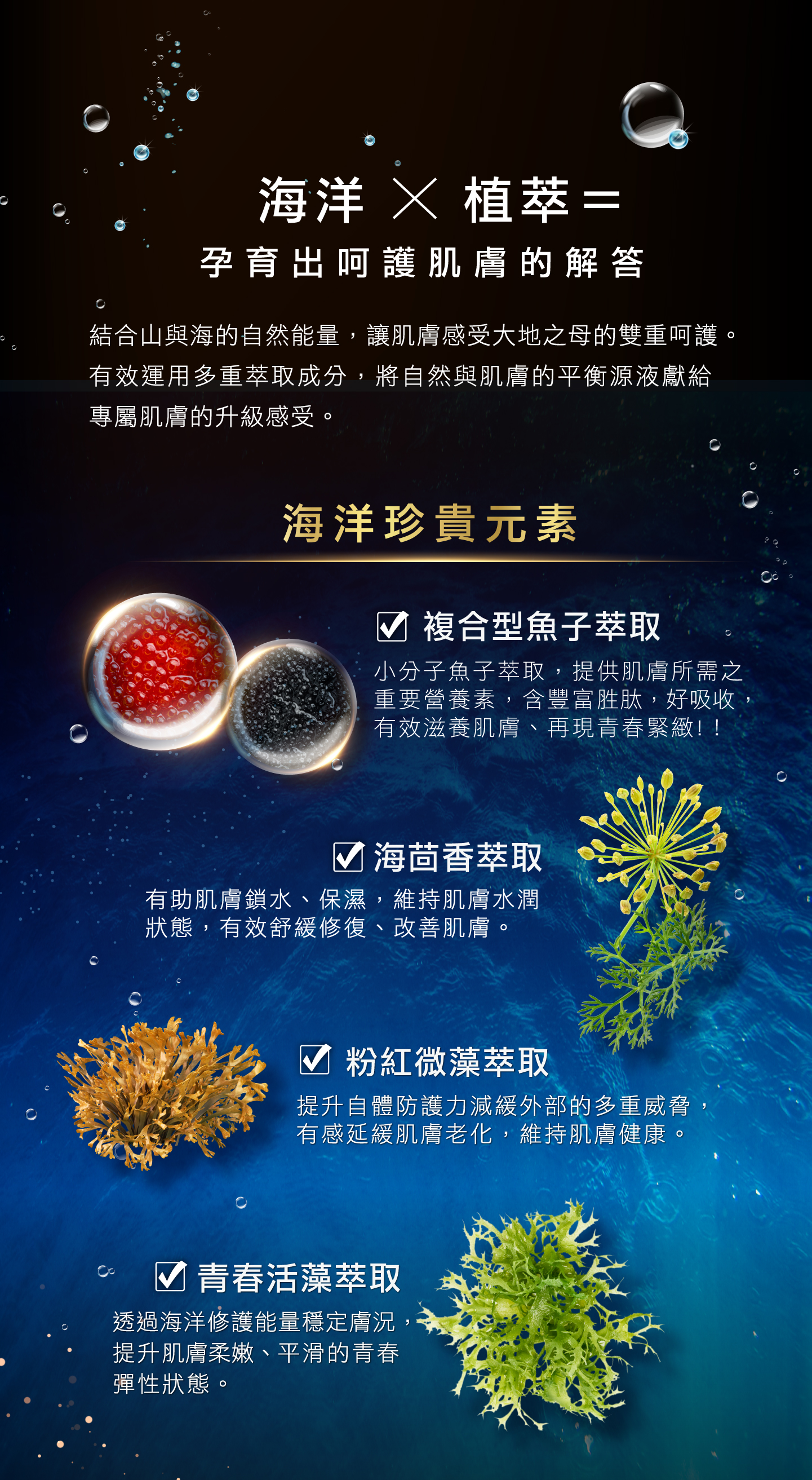 Anti Aging Firming Essence