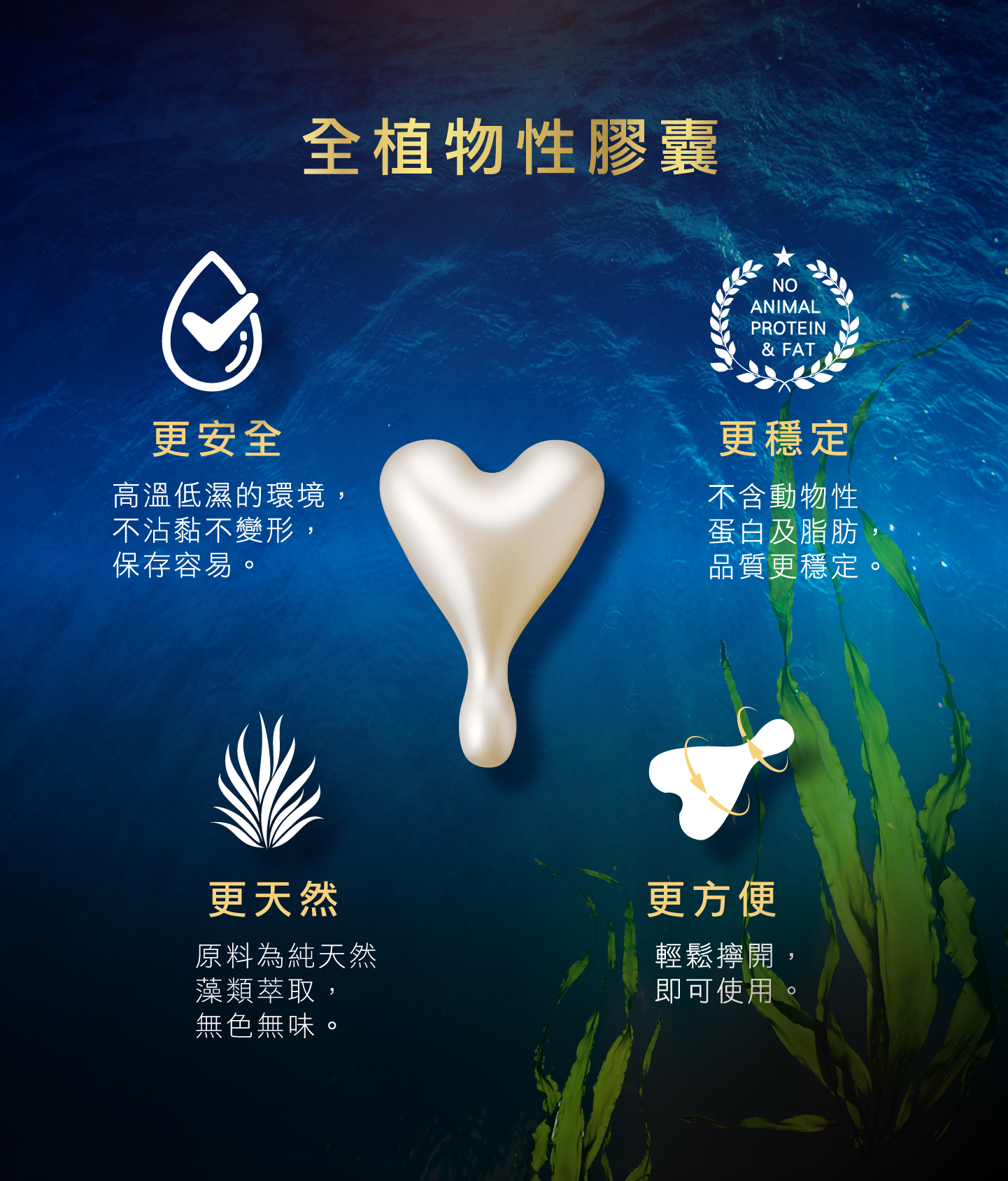 Anti Aging Firming Essence