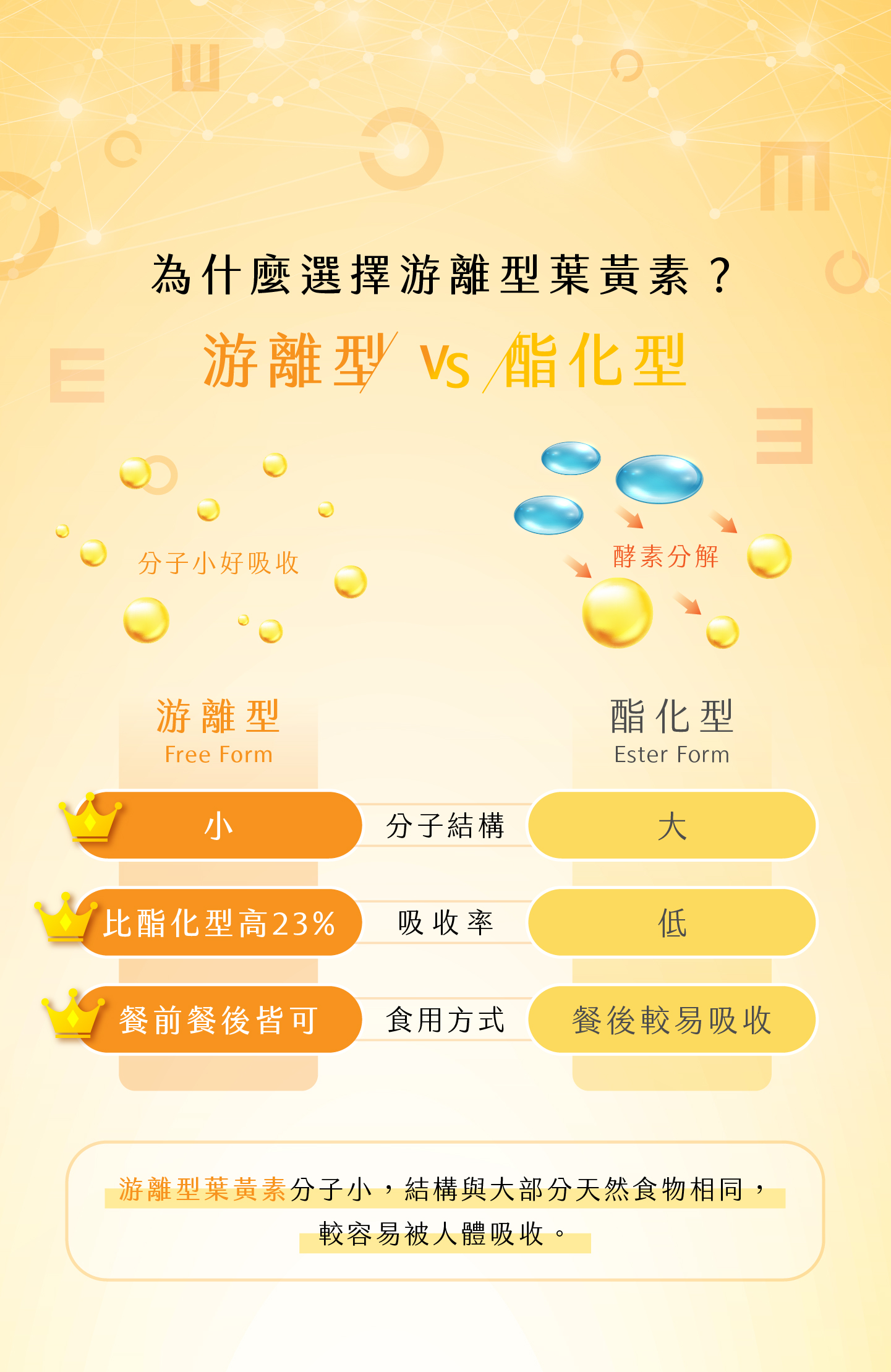 Visionary Shine Pro-L Lutein