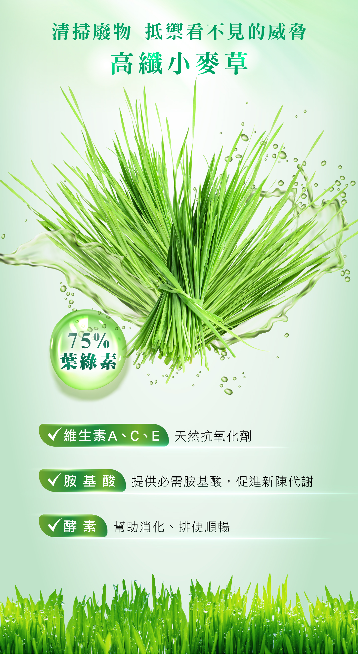 Greenrich Purifying Vitality