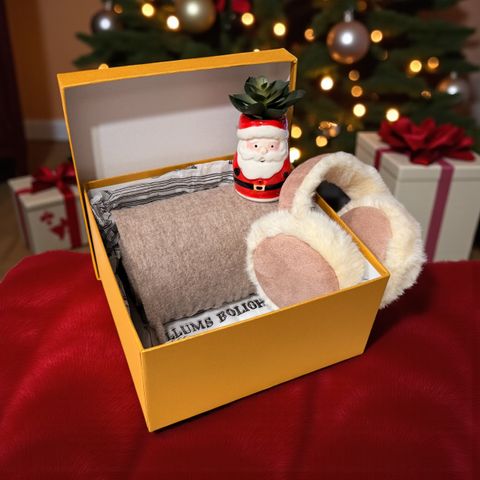 Photoroom_20251111_142316