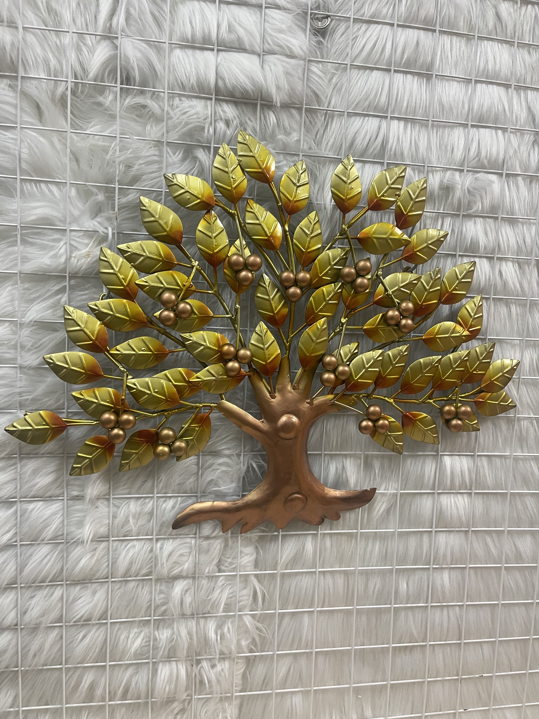 IMG_3472-1722666535417