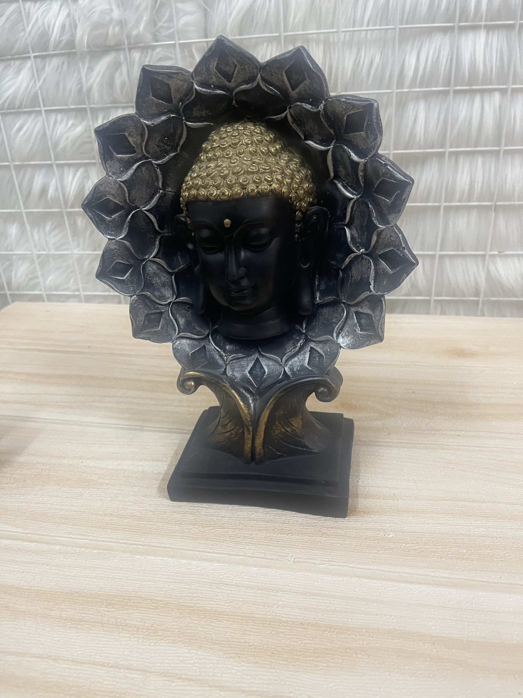 IMG_3588-1723004544276