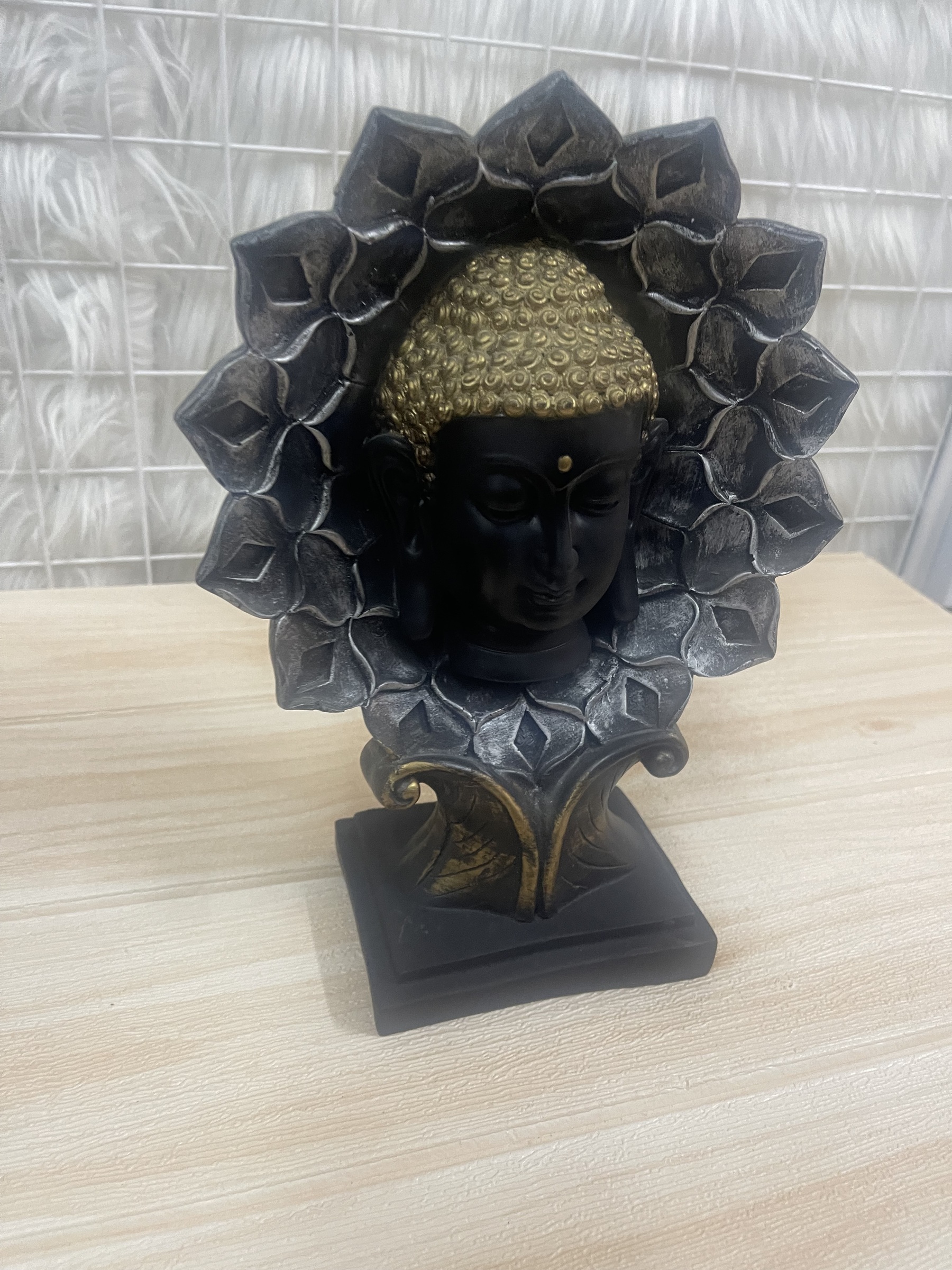 IMG_3589-1723004544473