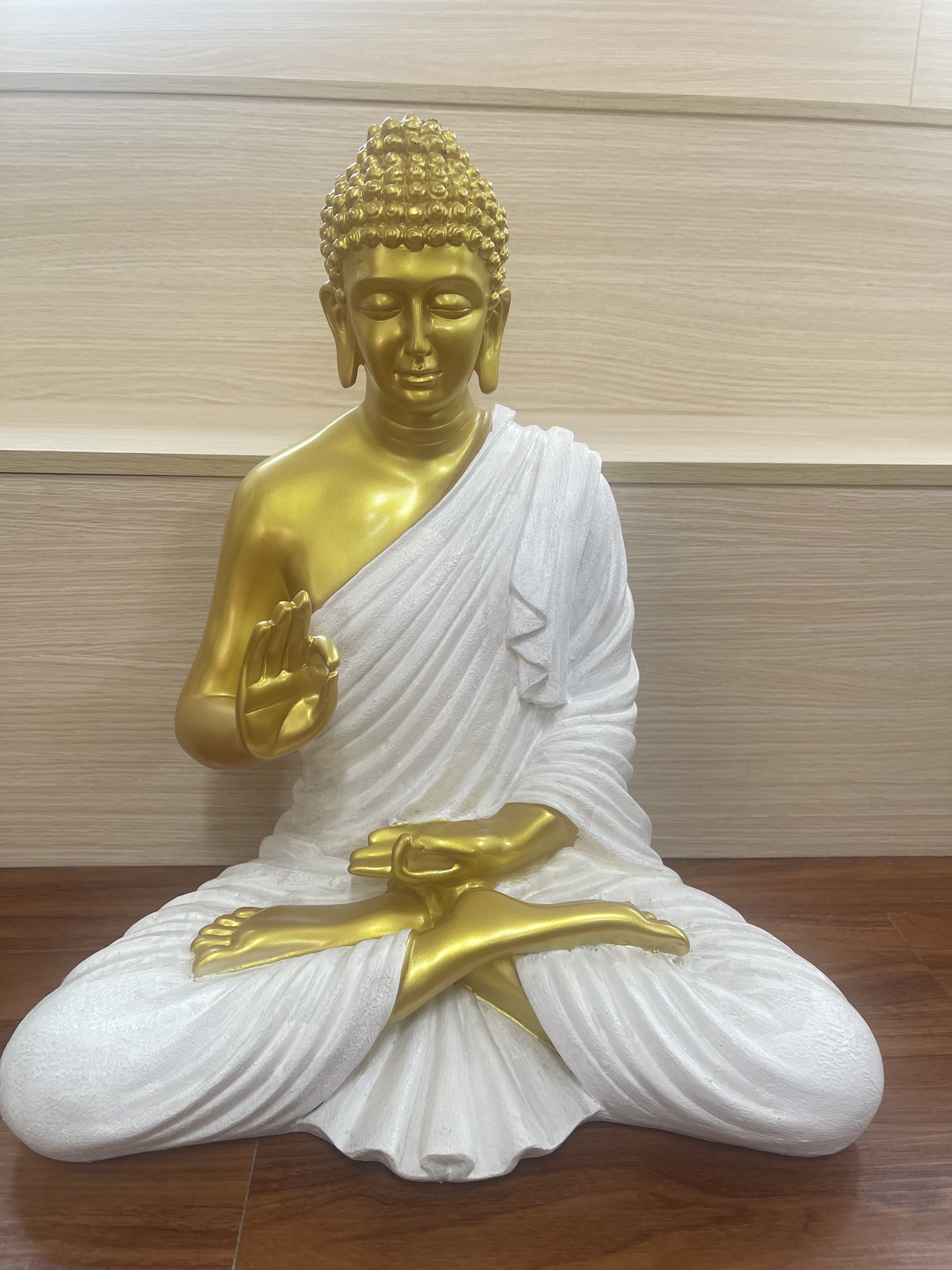 IMG_4406-1723976134999