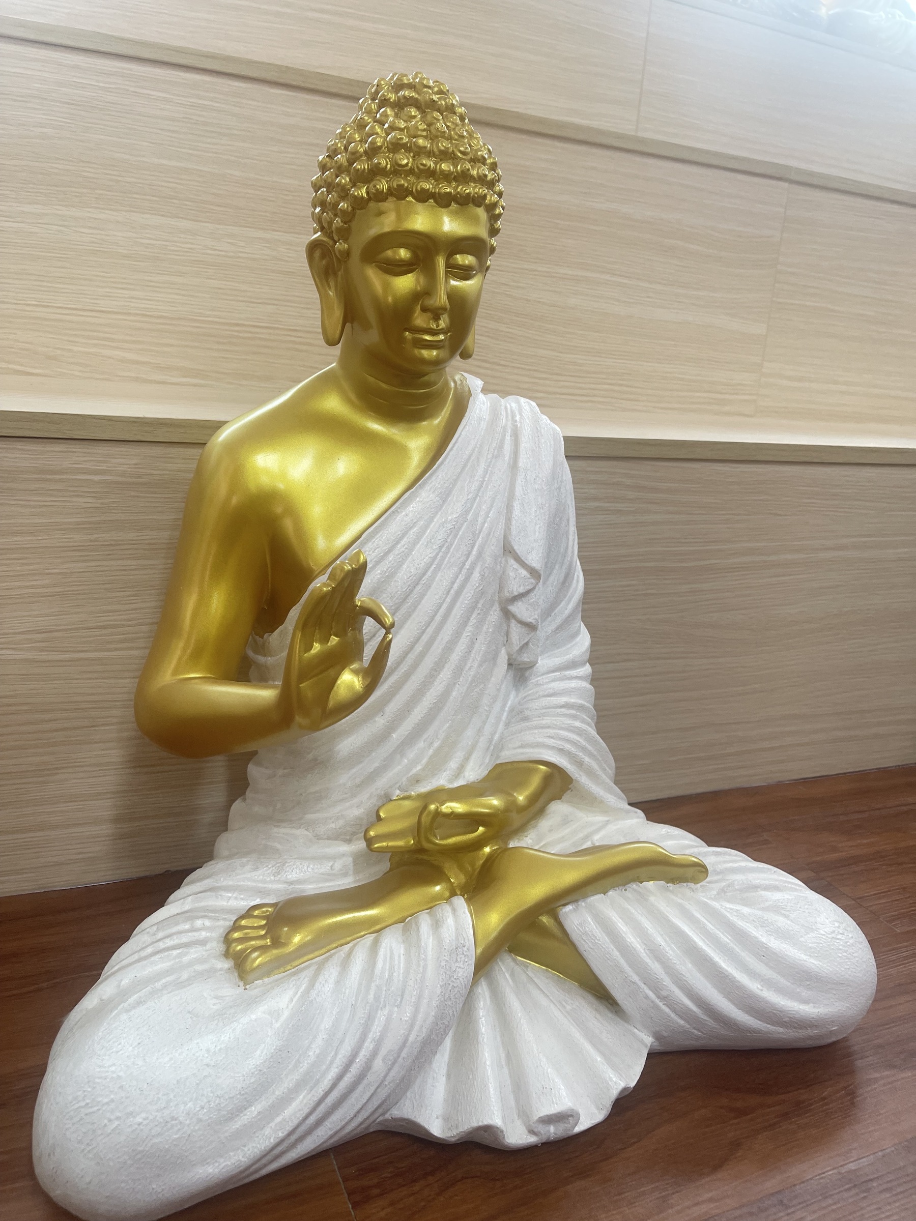 IMG_4407-1723976136054