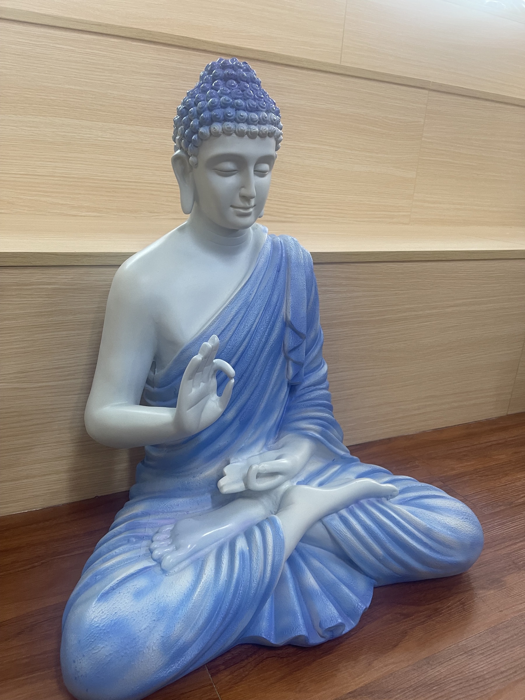 IMG_4425-1723976409190