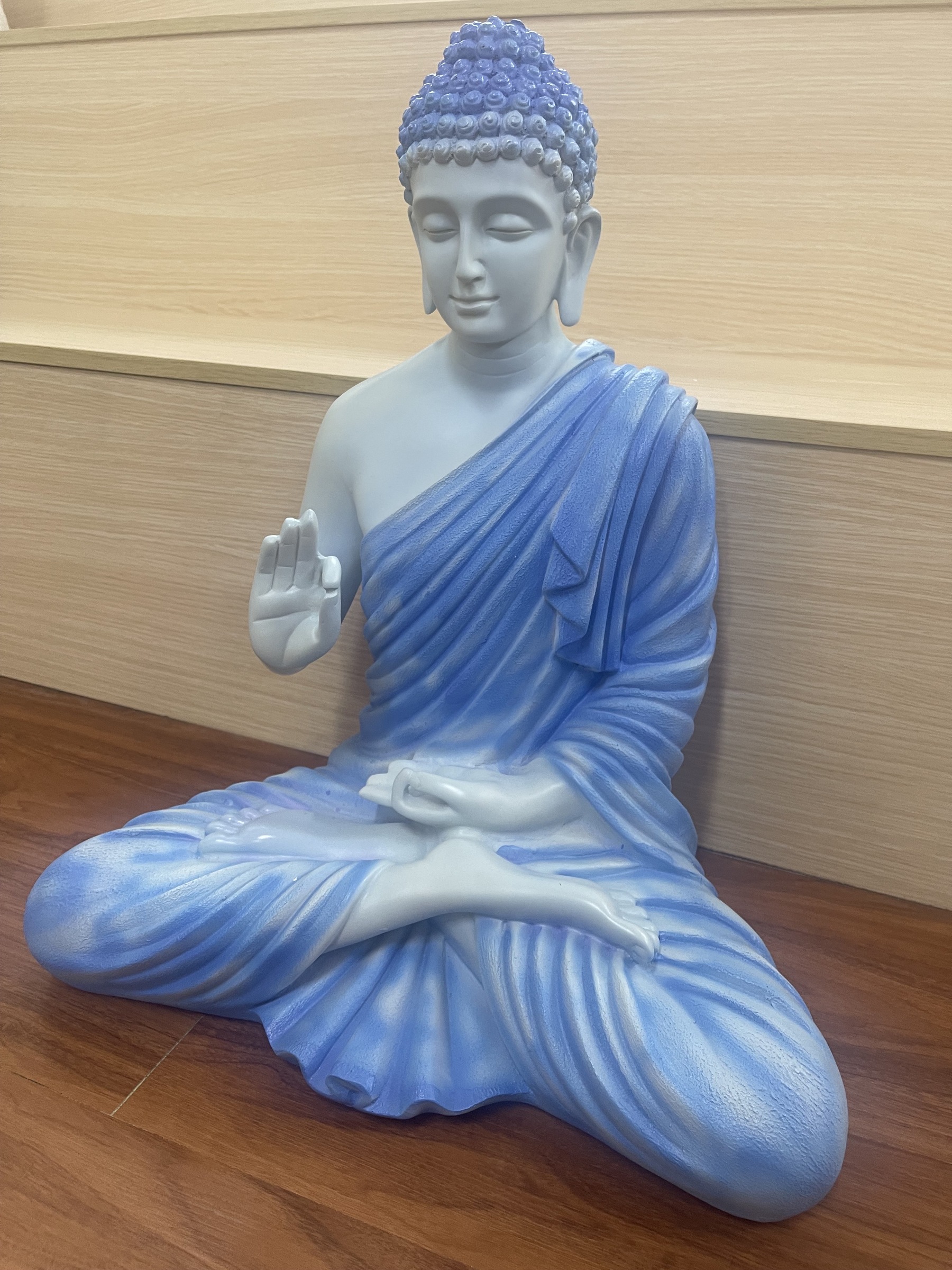 IMG_4426-1723976407993