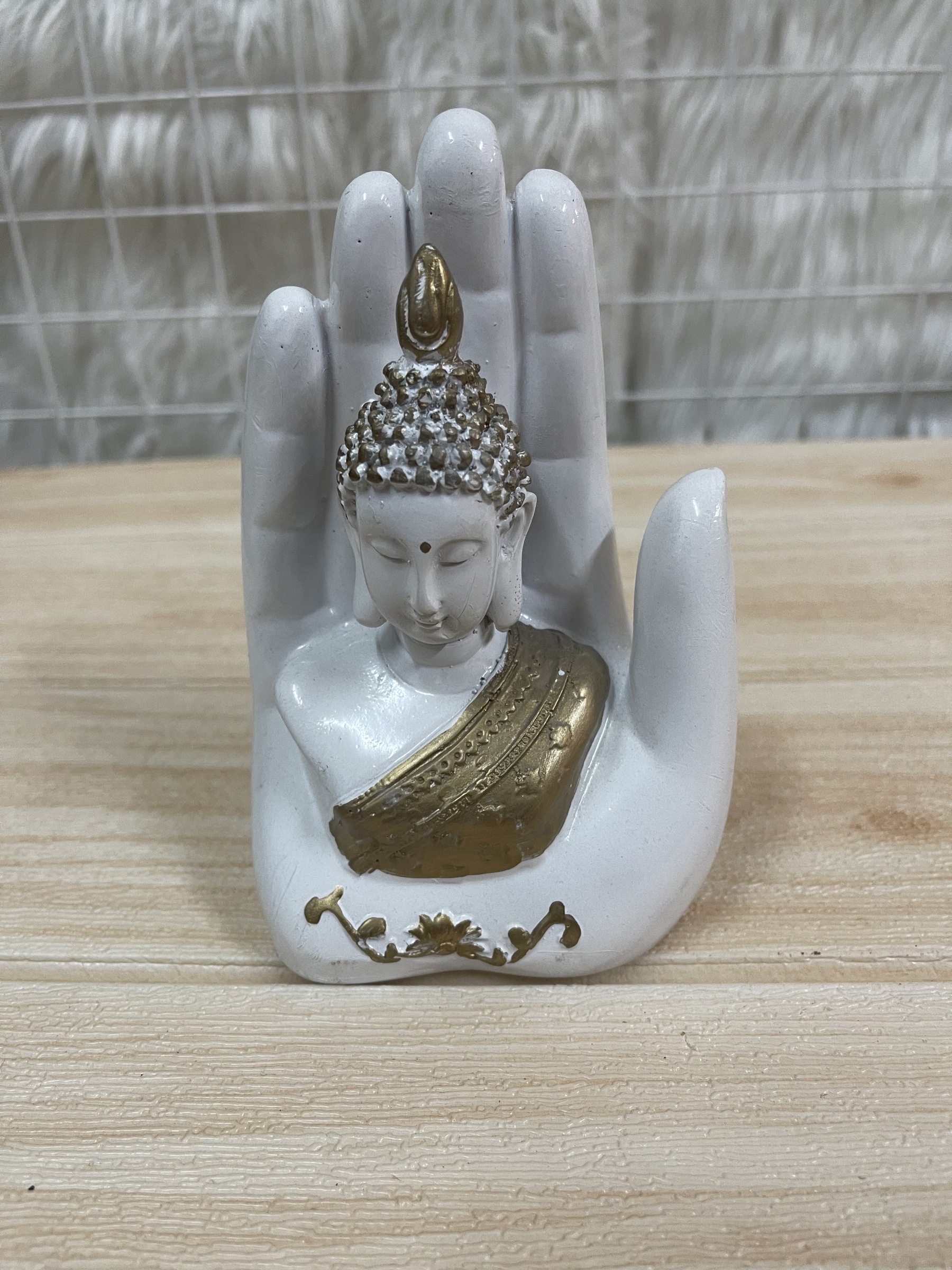 IMG_4523-1724316007869